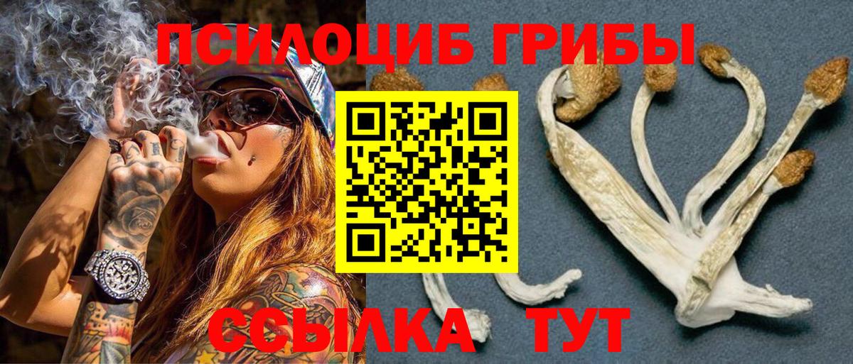 Нягань  Псилоцибиновые грибы GOLDEN TEACHER  закладки  Вход с VPN 